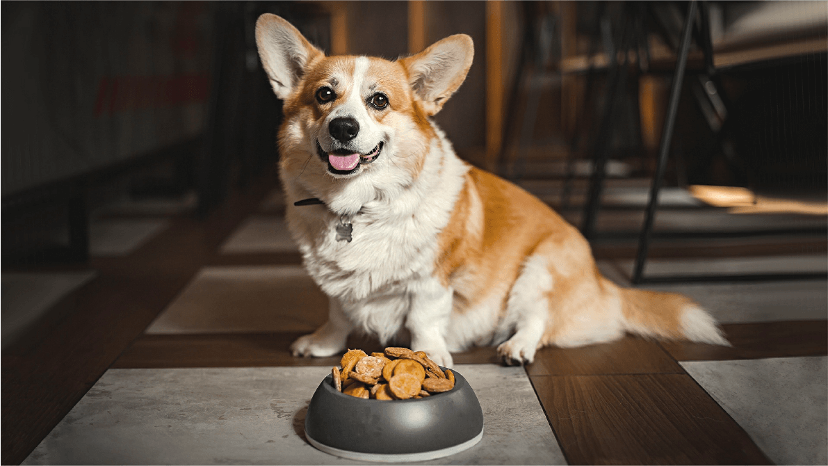 контент для заведения