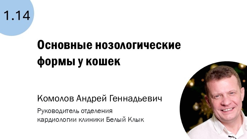 1.14 Основные нозологические формы у кошек