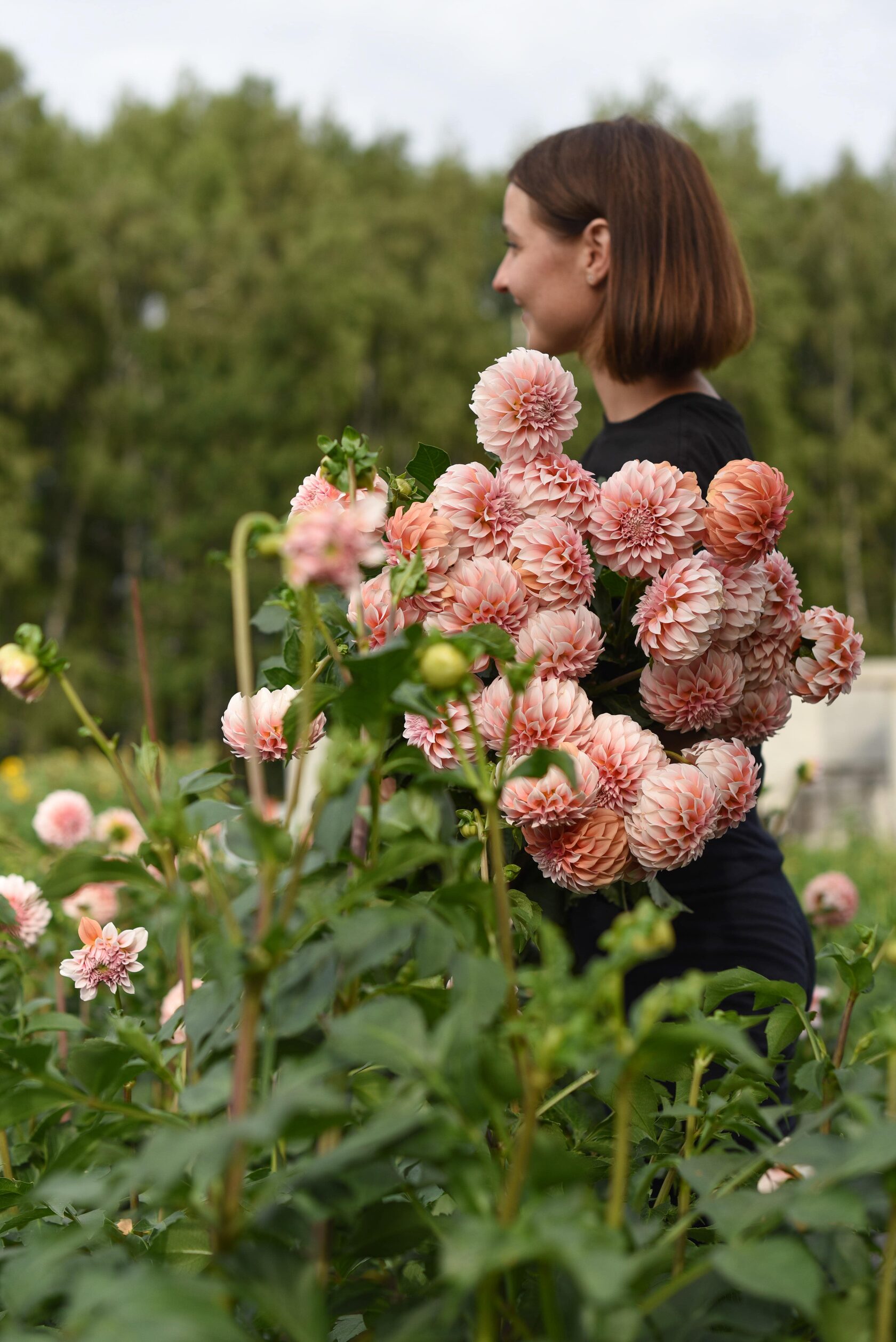 Fluffy Flowers | Блог: Интервью с Local Flowers