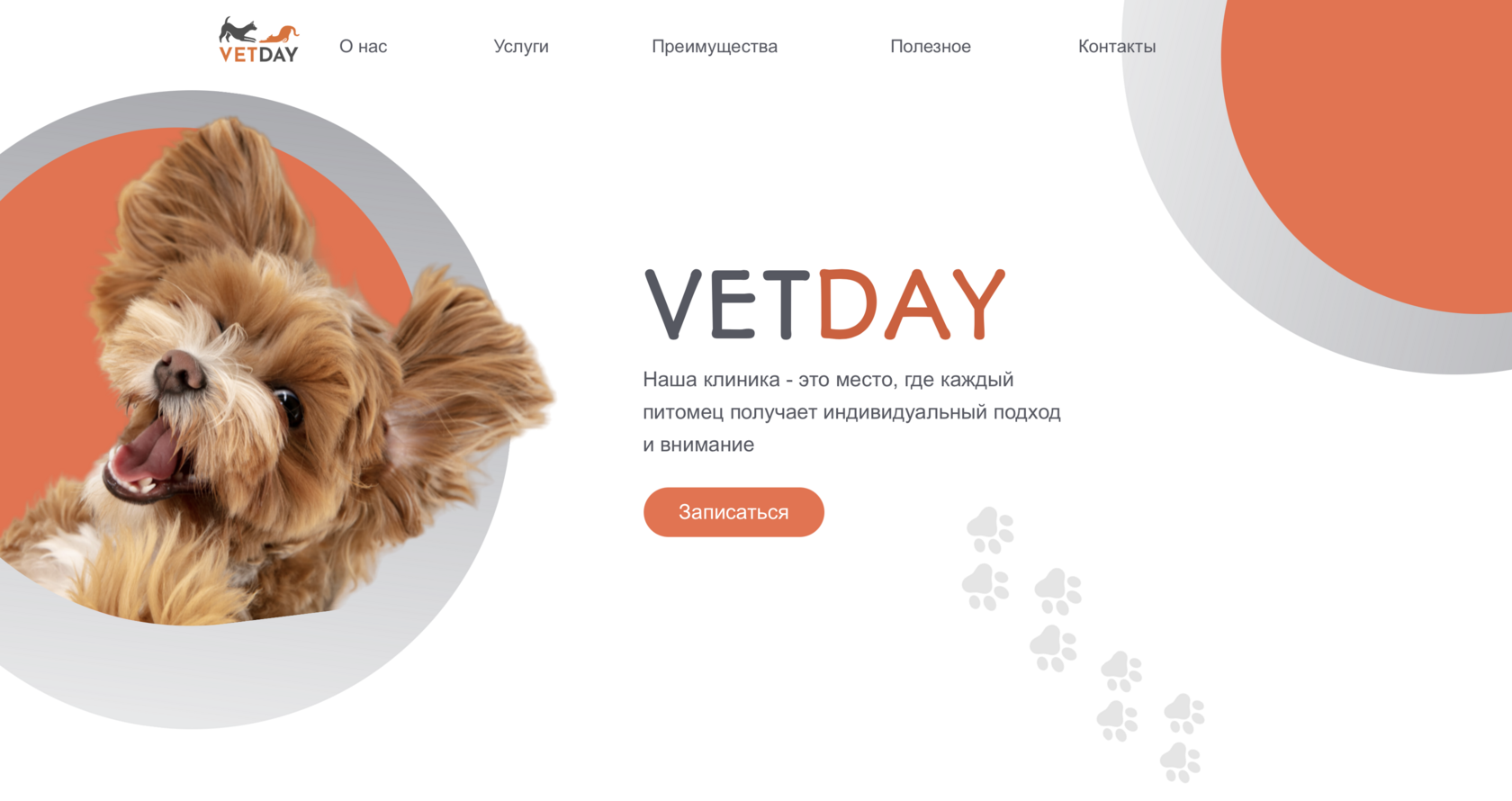 Ветеринарная клиника VETDAY