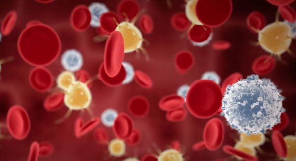 Уничтожение бактерий и вирусов