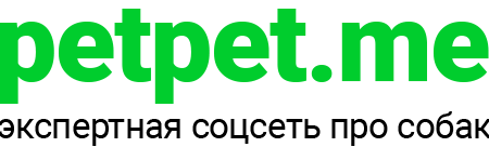 Petpet.me – экспертная соцсеть про собак