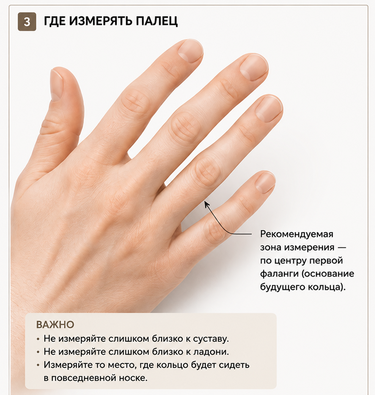 Где правильно измерять палец для определения размера кольца