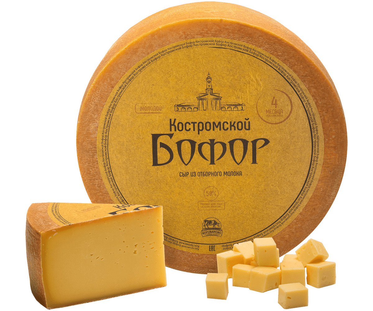 Костромской Бофор 4 месяца