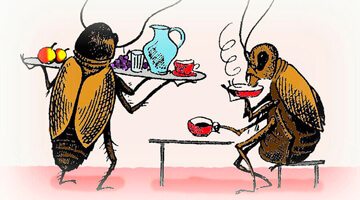 Морение тараканов в квартире