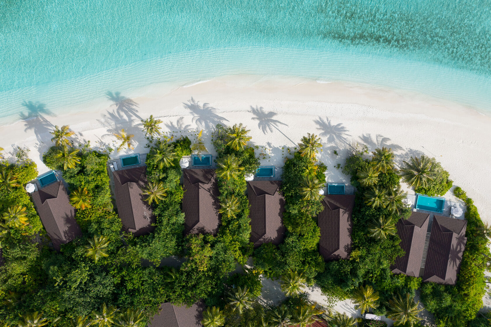 The standard maldives. Экскурсии на Мальдивах. Раа. The Standard Huruvalhi Maldives 5 логотип.