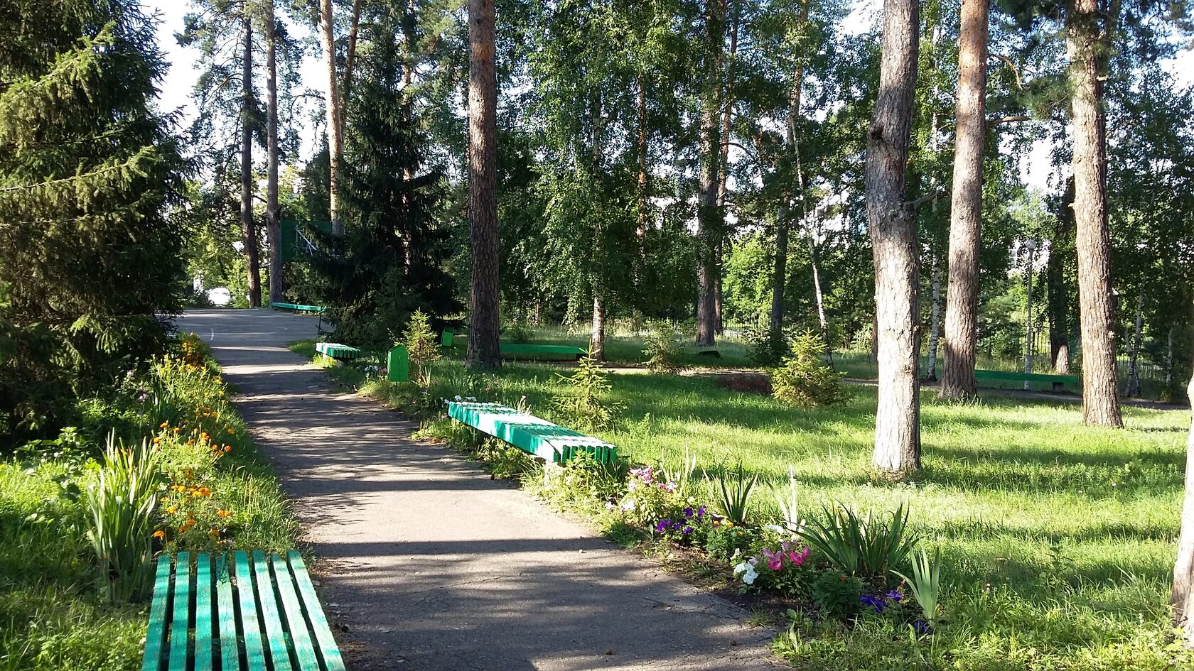 санаторий сосновый бор ярославская область фото