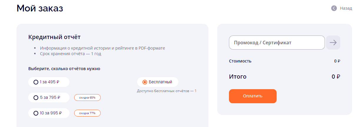 Скриншот примера сформированного отчета в Скоринг Бюро