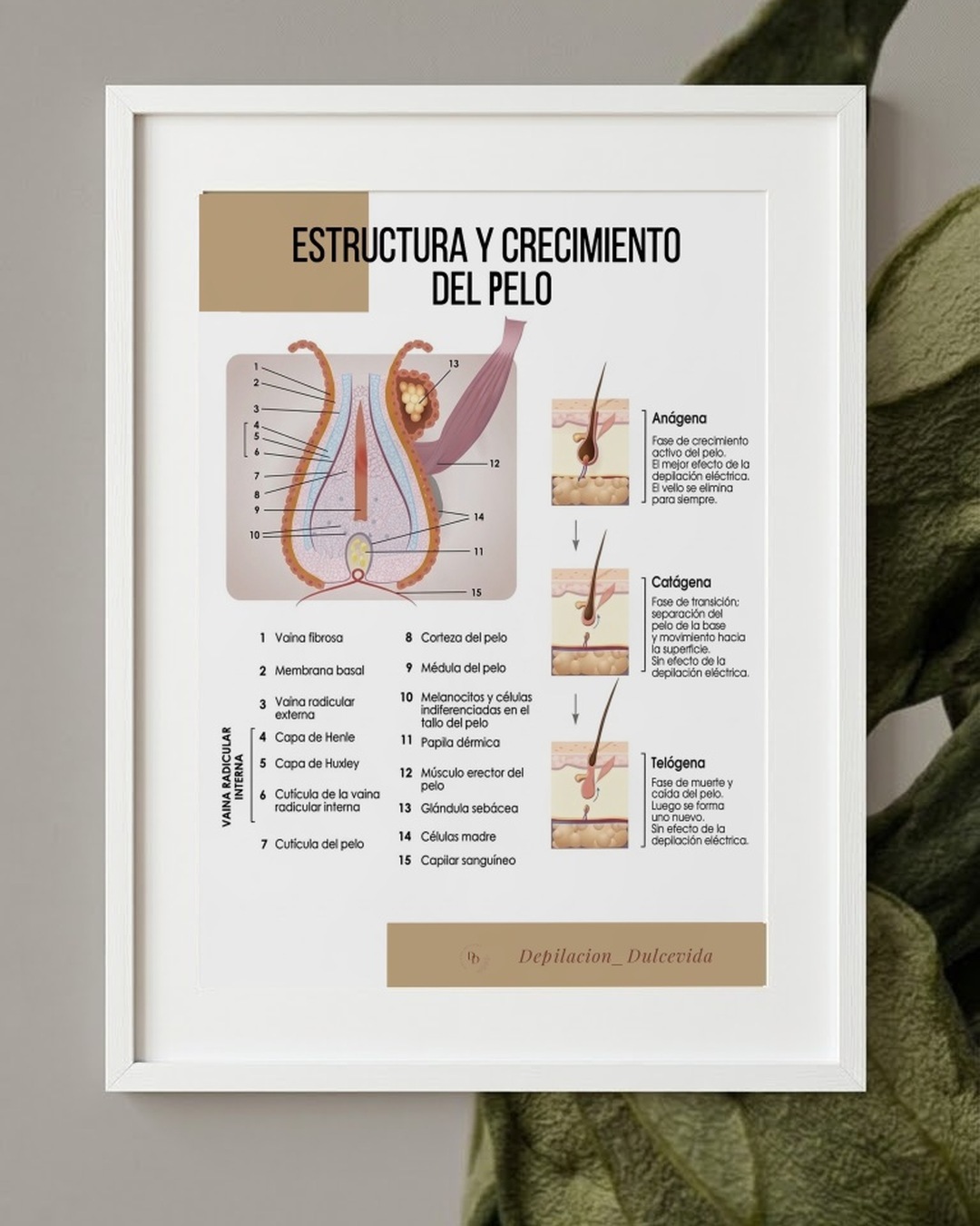 Póster en español