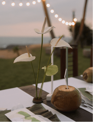 Neponaroshky-wedding-svadba-krym