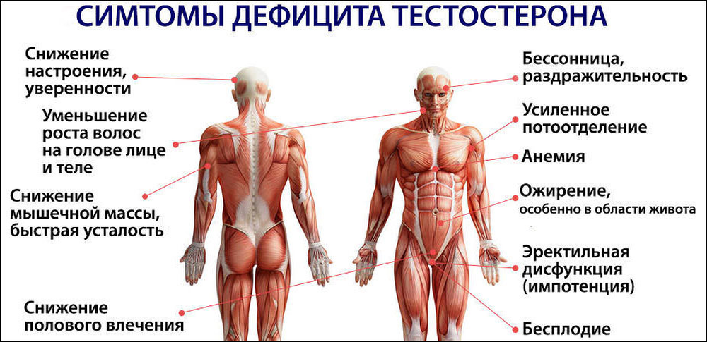 Есть ли недостатки. Симптомы дефицита тесто. Низкий уровень тестостерона. Симптомы дефицита тестостерона. Мужской гормон тестостерон.