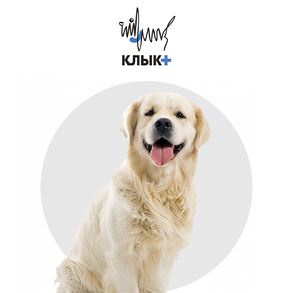 Ветеринарная клиника «Клык»