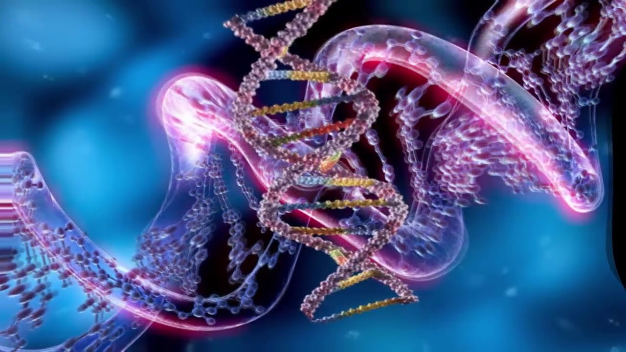 Генетическая 2. Активизация ДНК. Божественная ДНК. DNA activation. Слои ДНК по Крайону фото.