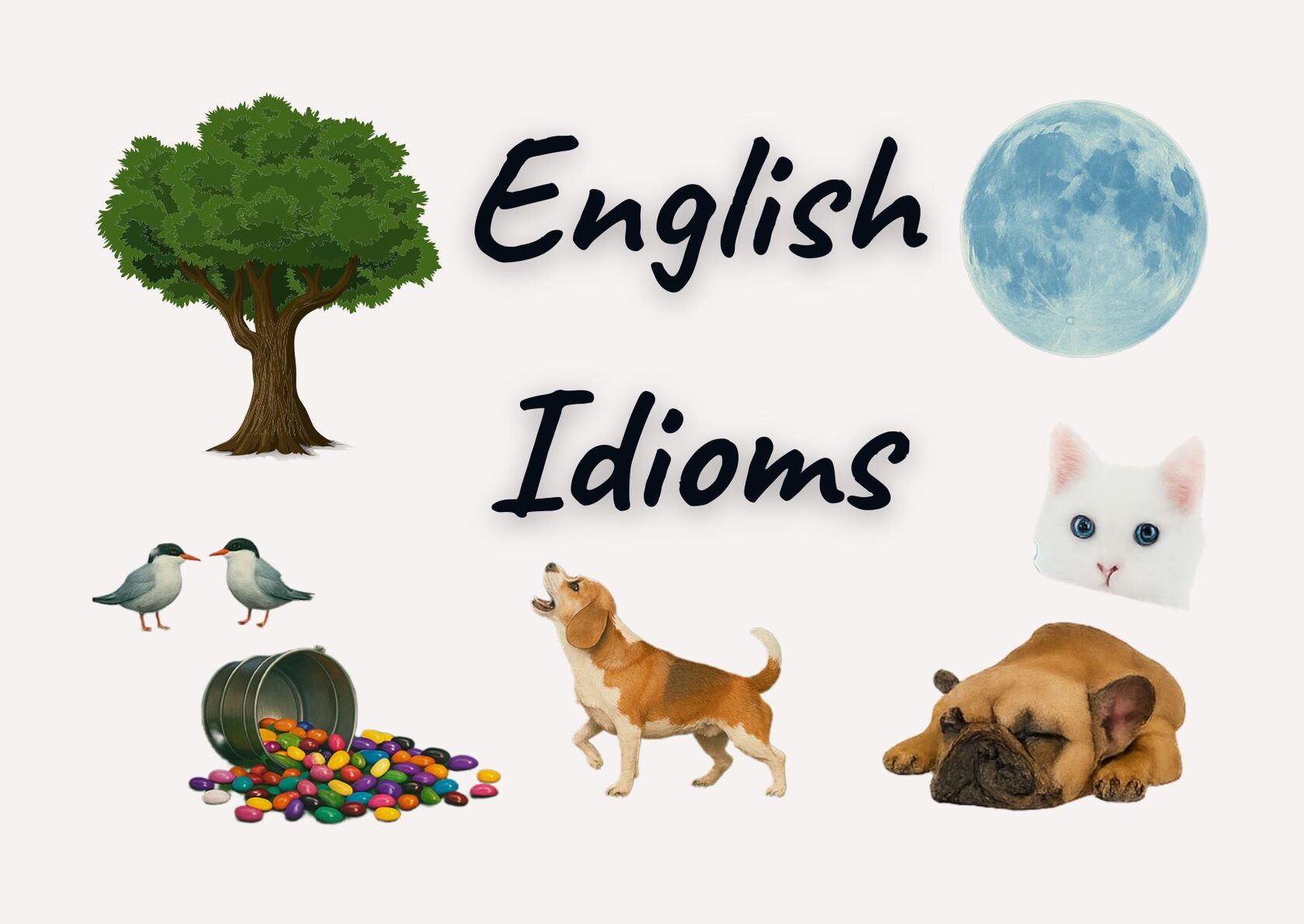 Коллаж с элементами английских идиом: голубая луна, зелёное дерево, две птицы, белый кот с любопытным взглядом, собака, которая лает, рядом спящая собака и рассыпанные разноцветные бобы. В центре надпись 'English Idioms'.