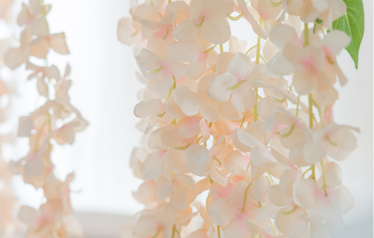 Silver Hall · фото 10