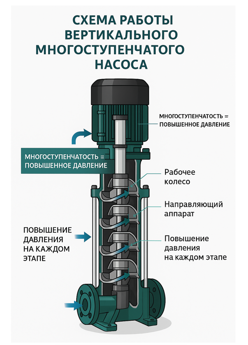 Вертикальный насос в разрезе