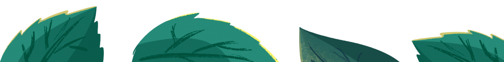 Нарисованные листья лесных деревьев в оформлении детской настольной игры