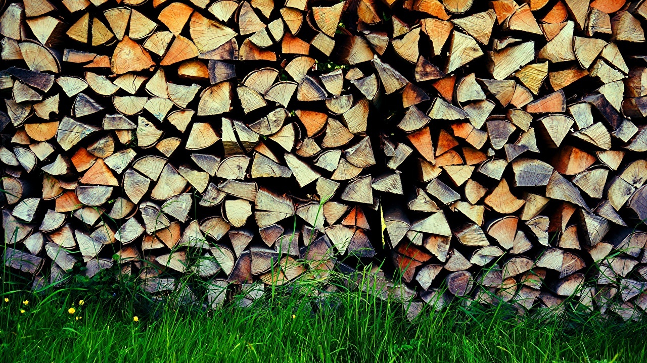 Фотообои дрова