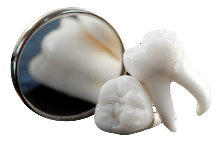 Хирургия | ABC Clinic