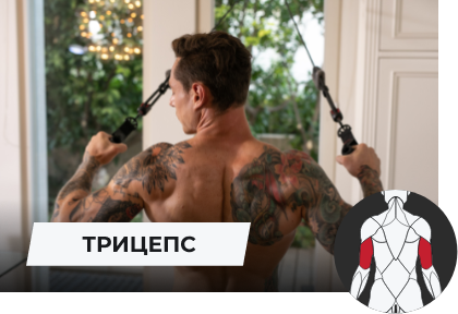 Трицепс