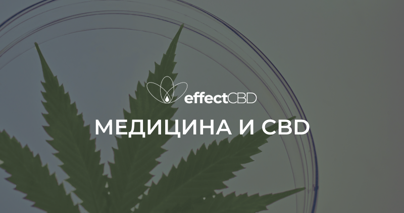 О CBD