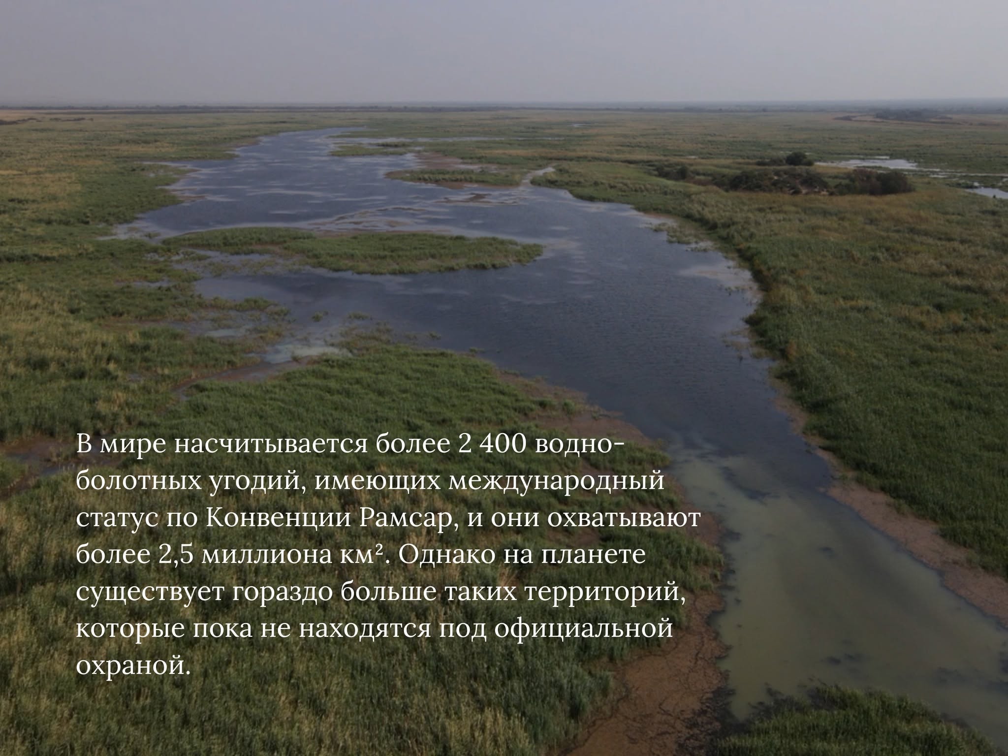 Нет описания фото.
