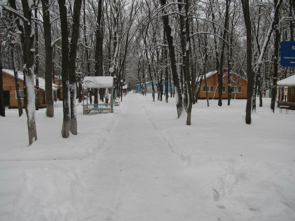 Лагерь сокол ачинск