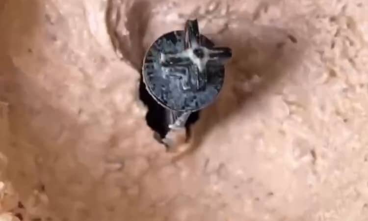 Приготовление паштета из фасоли и плавленного сыра: шаг 6