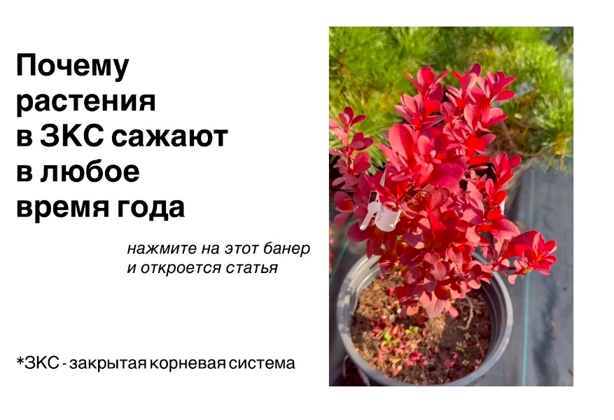 8 марта