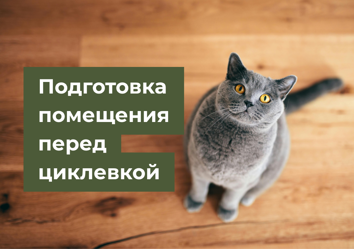 Подготовка помещения перед циклевкой паркета