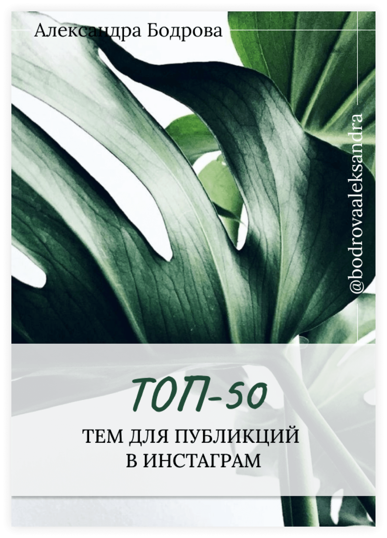 Студия веб-дизайна Шеиной Александры. Разработка сайта на тильде. Сделать сайт на тильде. Заказать сайт на тильде.