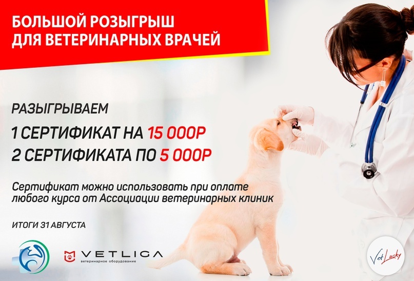 Реклама розыгрыша сертификатов от поставщика ветоборудования VETLIGA
