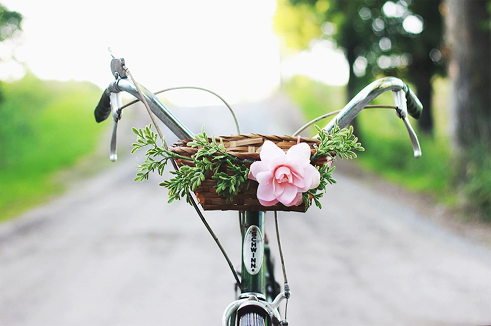 Велосипед с живыми цветами