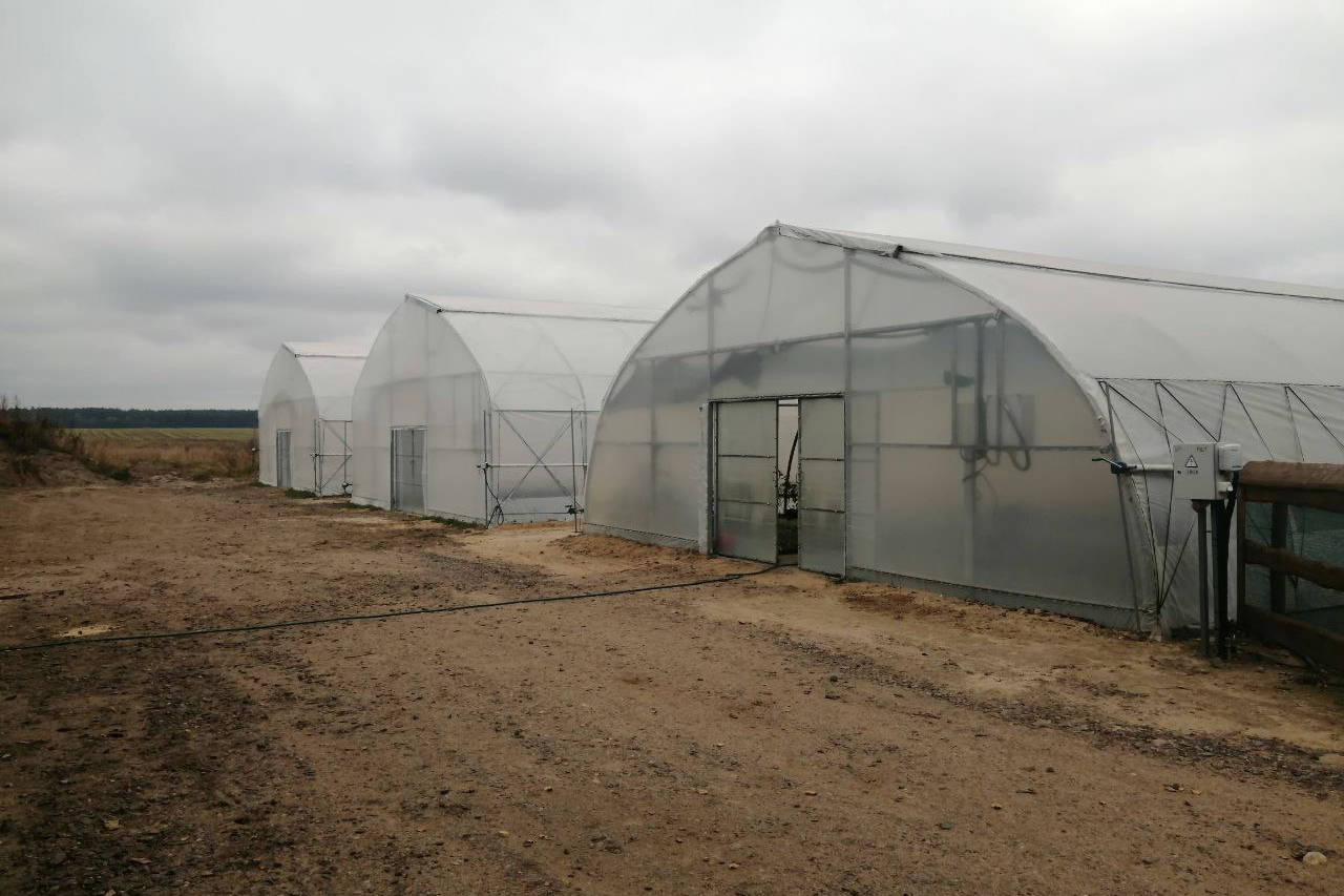 садоводство