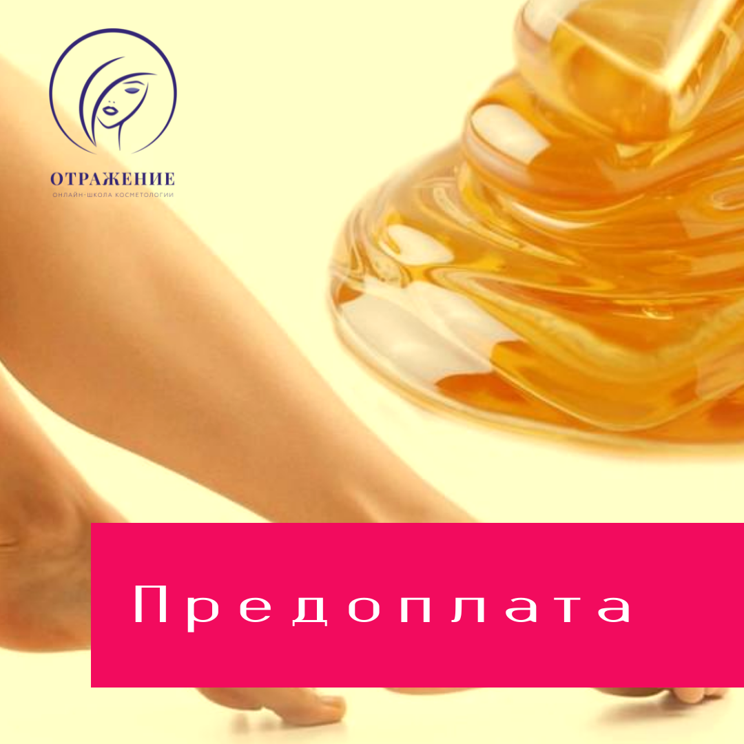 Новое Отражение Интернет Магазин