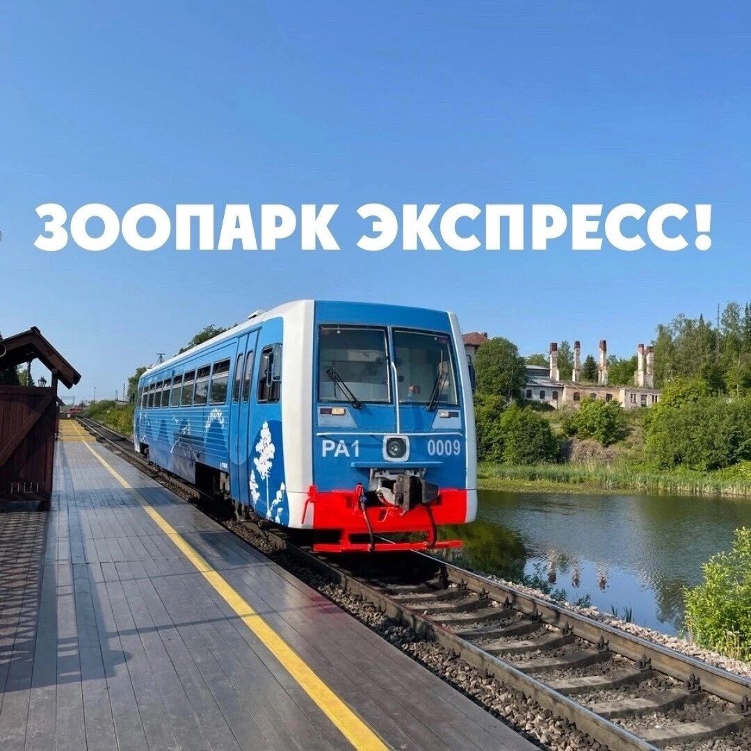 Зоопарк экспресс