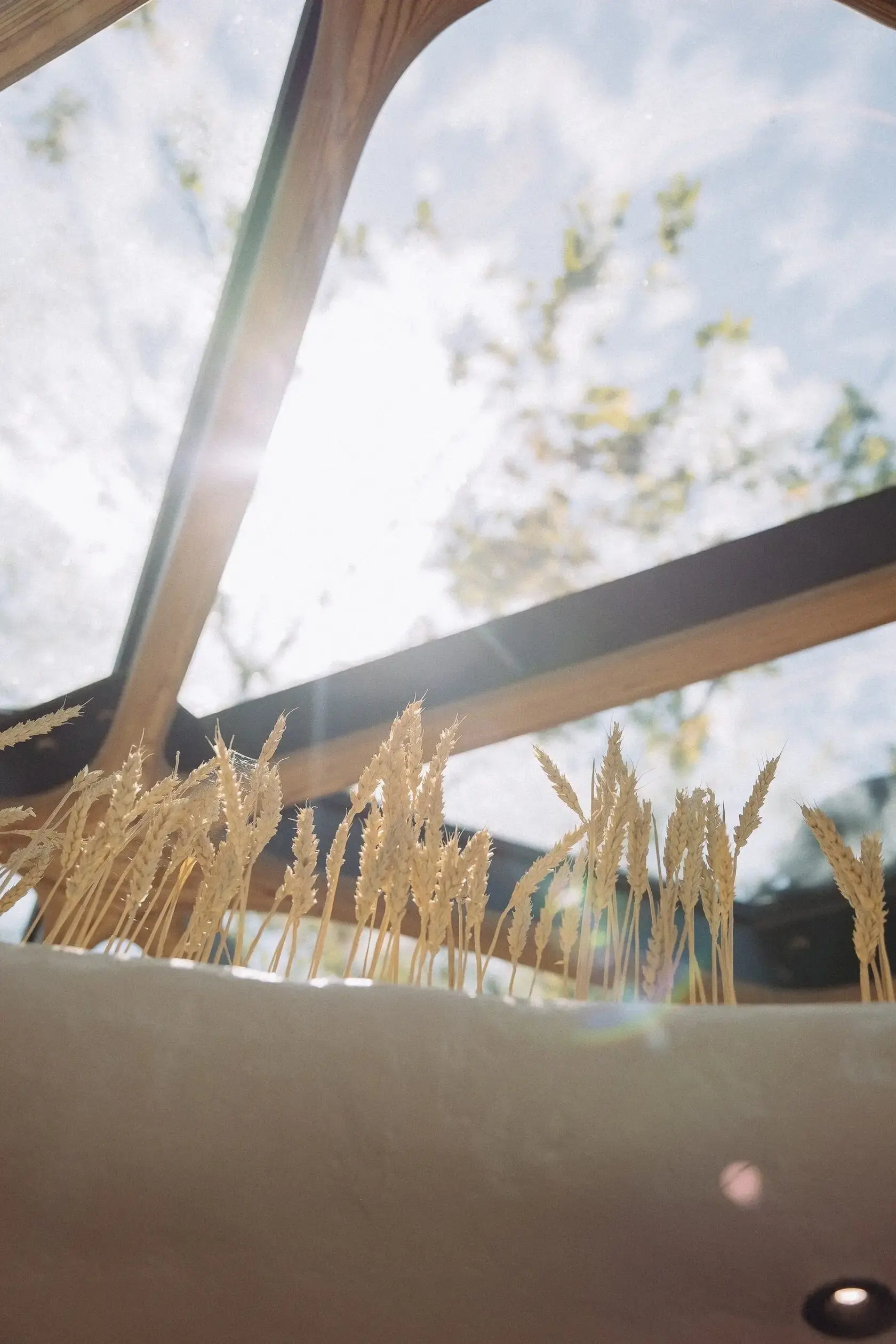 Спа комплекс в Сочи