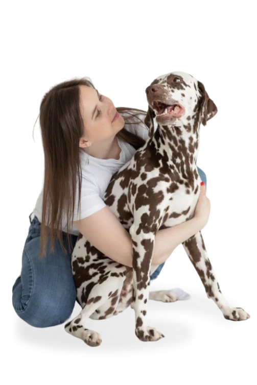 консультации по зоо-гостинице