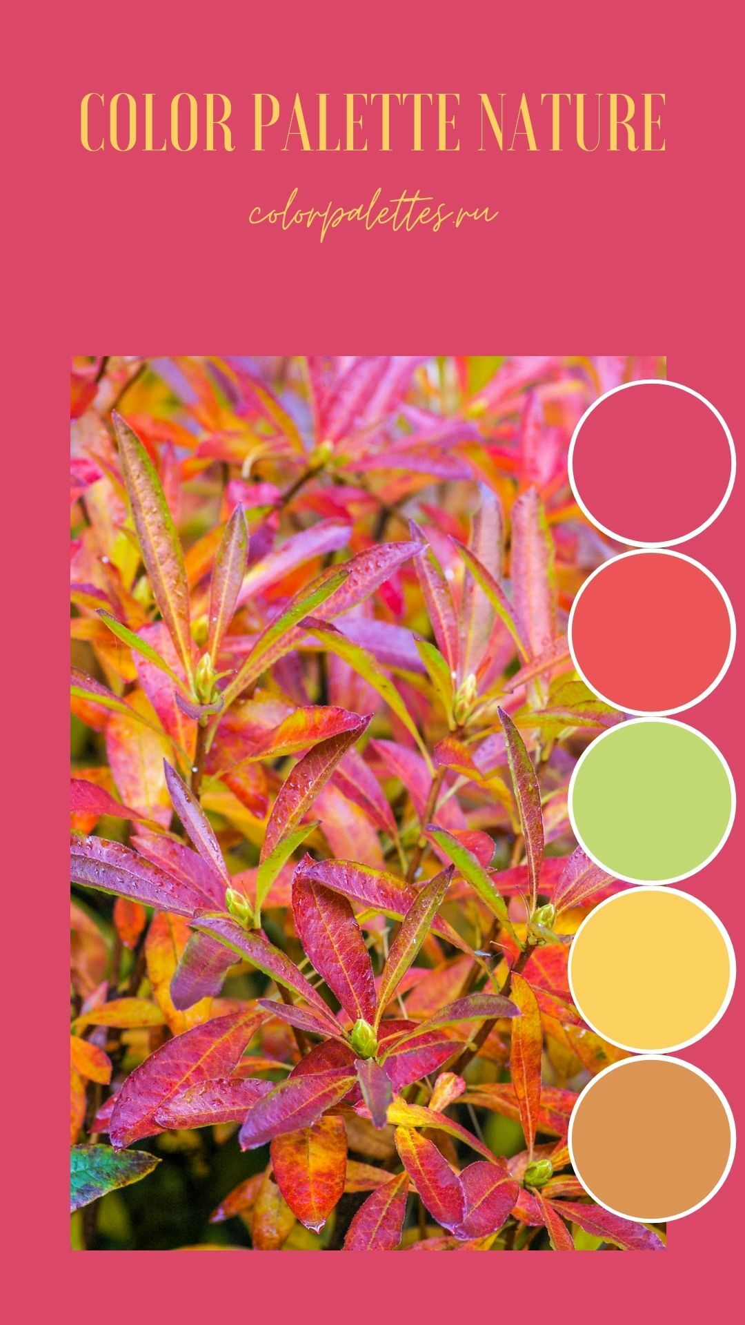Colorful shrub leaves palette