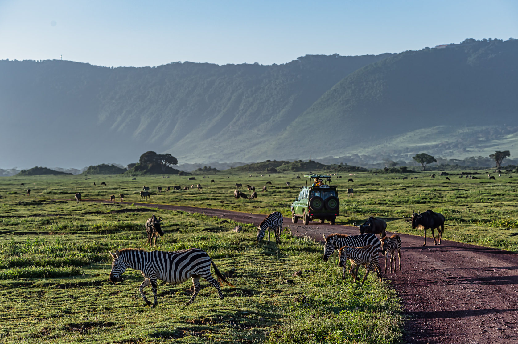 Сафари В Танзании