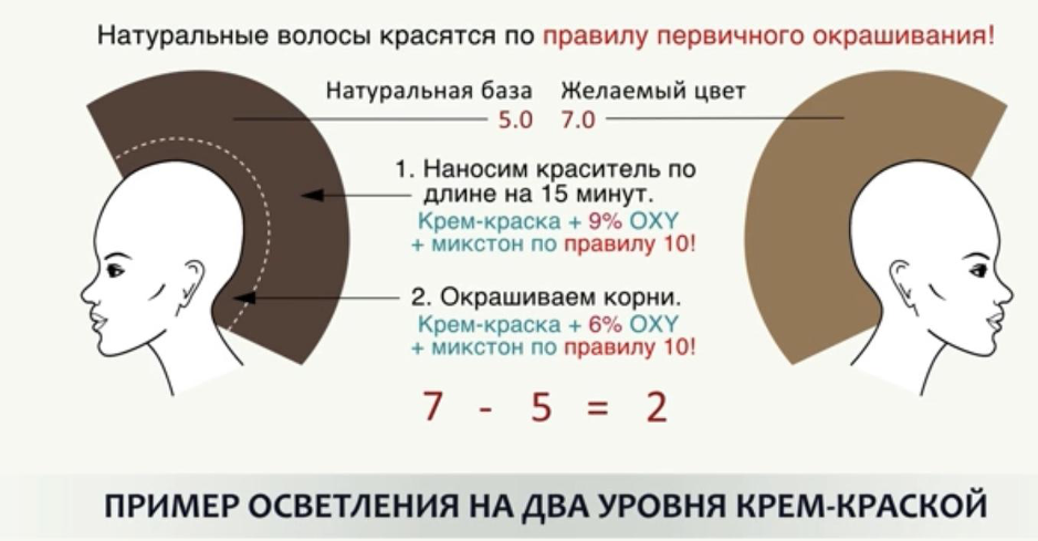 Натуральная база. Задачи для парикмахеров по окрашиванию волос. Схема первичного окрашивания волос. Первичное окрашивание волос тон в тон схема. Задачи окрашивания волос красителями.