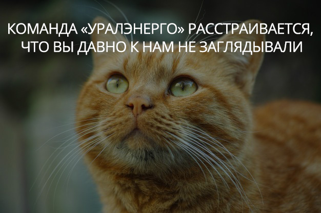 Команда АВС.экспресс расстраивается, что Вы давно к нам не заглядывали