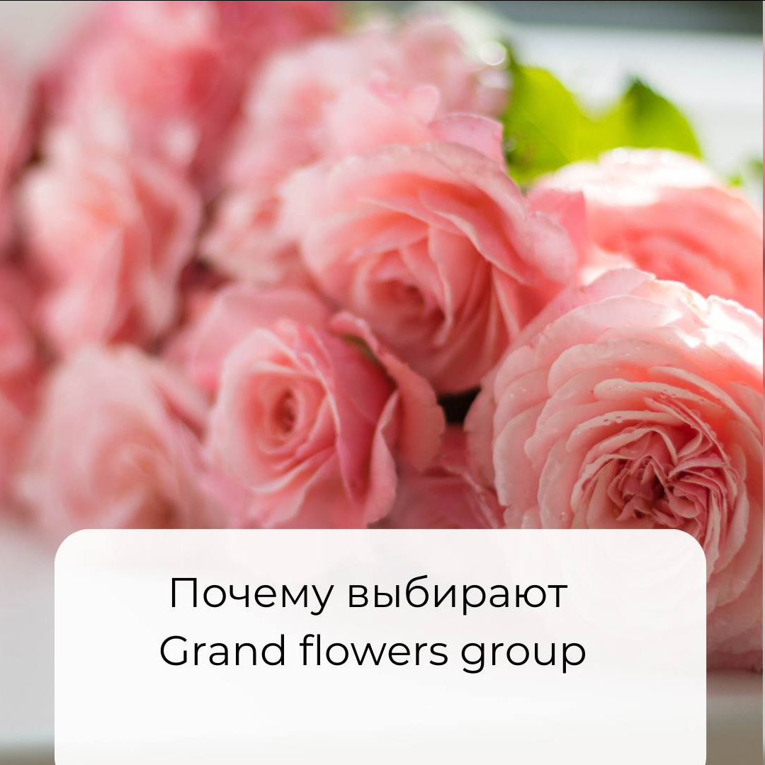 Преимущества работы с Grand Flowers Group