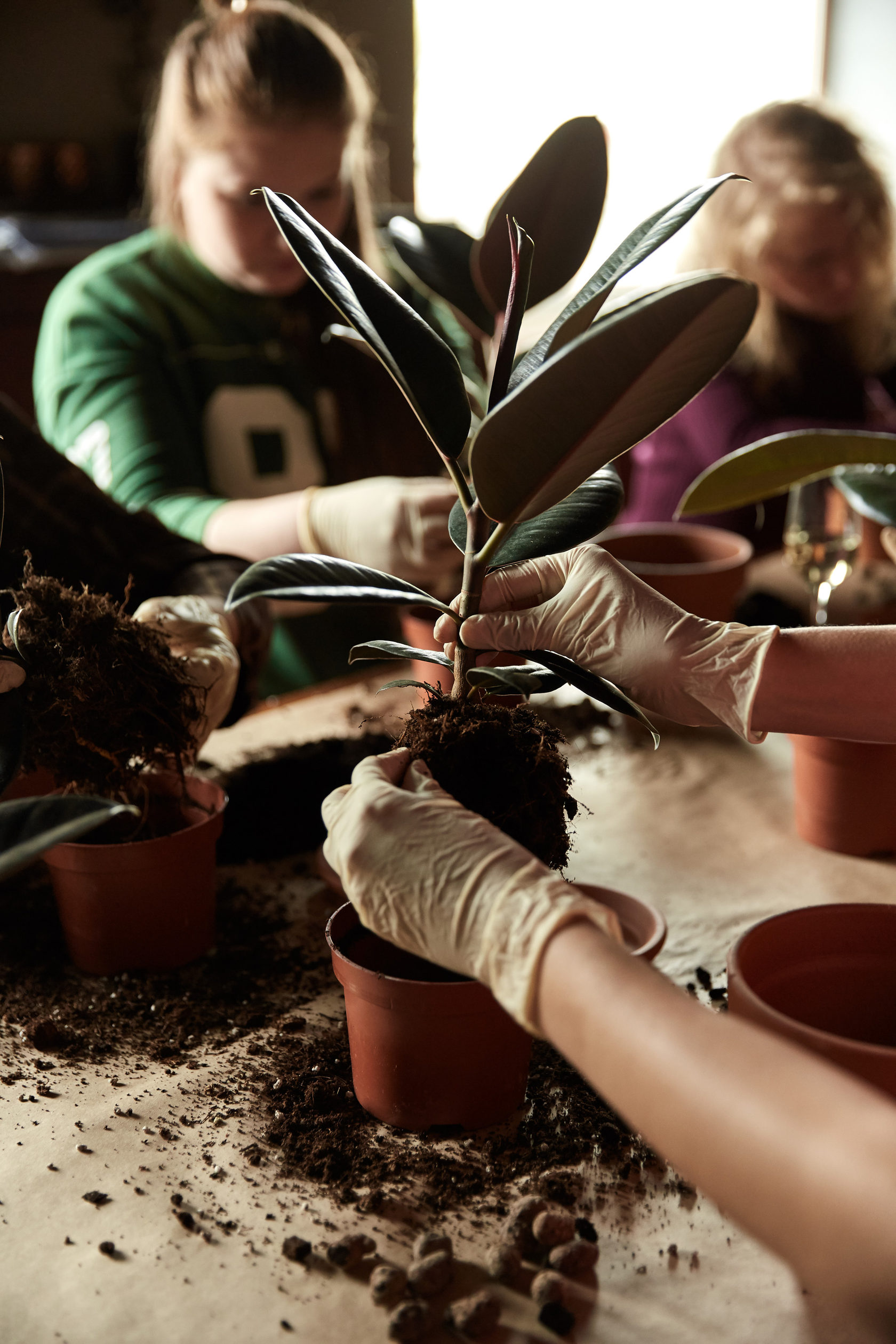 Plants For Friends