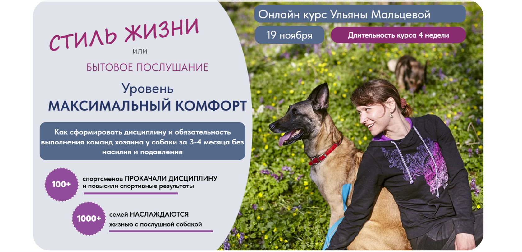 Начинаем дрессировку с электронным ошейником Dogtra