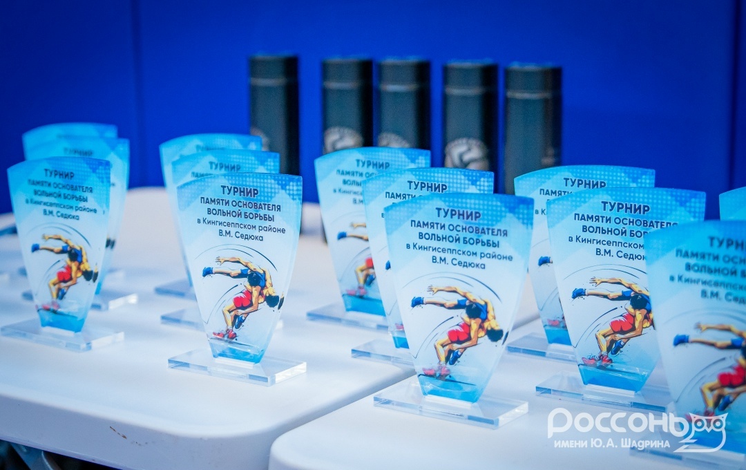 Спортивные соревнования памяти основателя вольной борьбы Кингисеппского района В. М. Седюка