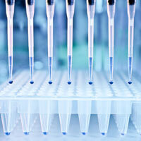 Porno yulduzlar Aleksis Texas