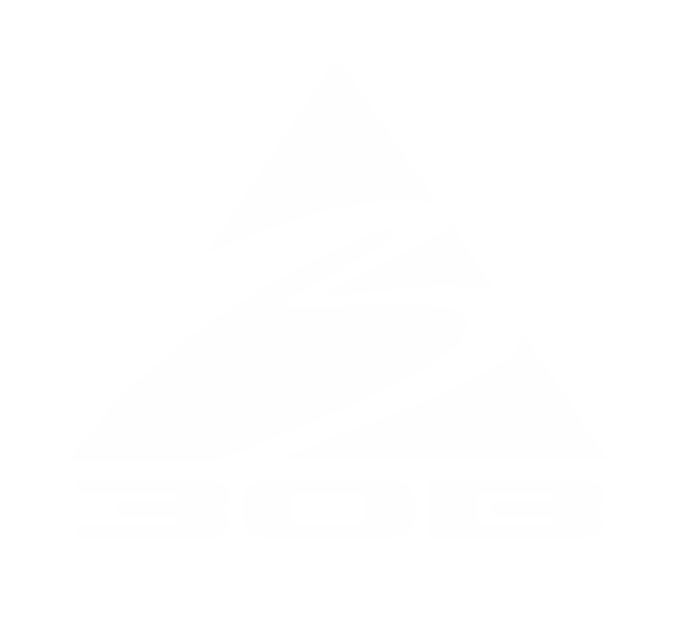 Company