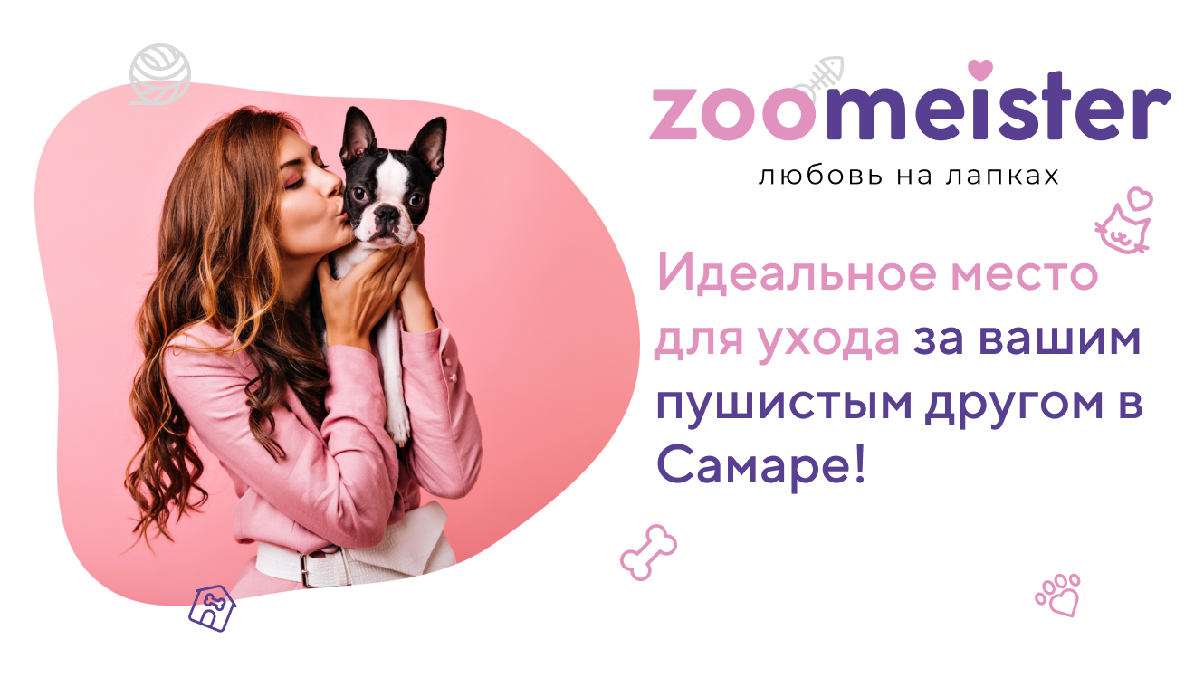 Груминг салон Zoomeister - Любовь на лапках! Стрижка собак и кошек в Самаре.