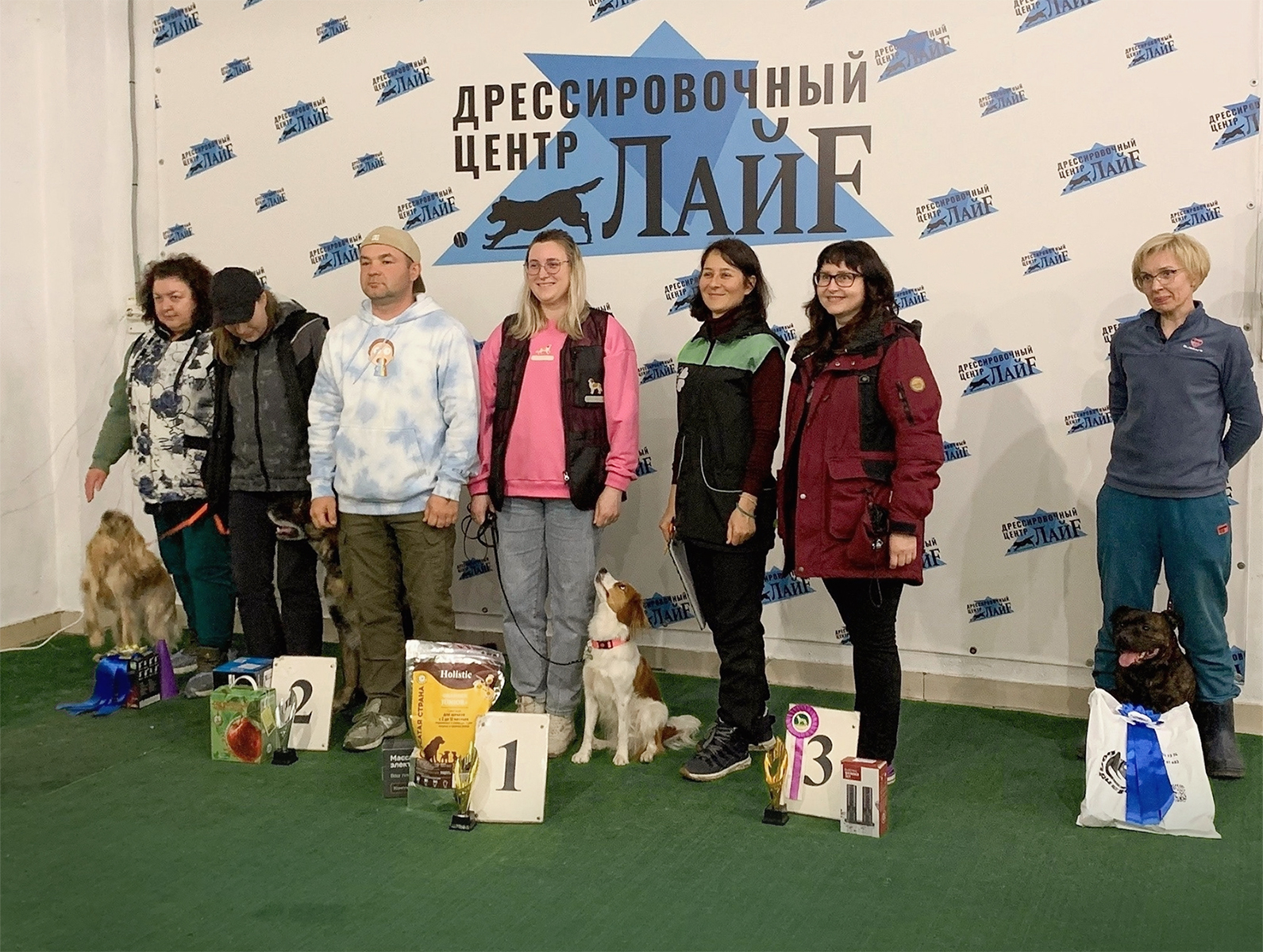 филд спаниели в ноузворк